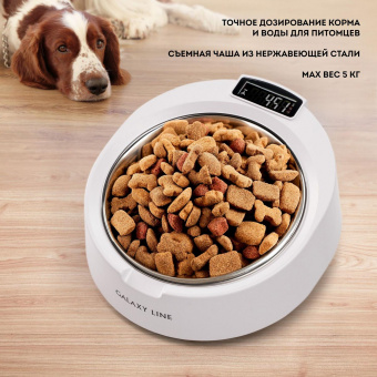 Весы кухонные электронные Galaxy Line GL 2890 макс.вес:5кг белый от магазина РЭССИ