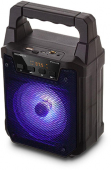 Колонка порт. Telefunken TF-PS1229B черный 8W 1.0 BT/3.5Jack/USB 10м 1200mAh (TF-PS1229B(ЧЕРНЫЙ)) от магазина РЭССИ