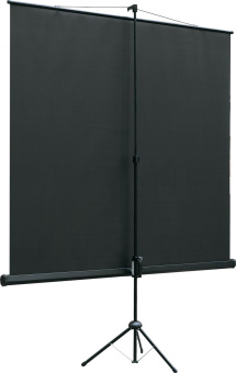 Экран на треноге Lumien 220x220см Eco View LEV-100109 1:1 напольный рулонный от магазина РЭССИ