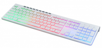 Клавиатура Оклик 490ML белый USB slim Multimedia LED от магазина РЭССИ