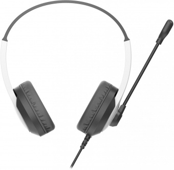 Наушники с микрофоном A4Tech Fstyler FH100U белый/черный 2м накладные USB оголовье (FH100U (PANDA)) от магазина РЭССИ
