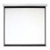 Экран 213x213см Digis Electra-F DSEF-1107 1:1 настенно-потолочный рулонный (моторизованный привод) от магазина РЭССИ