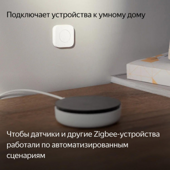 Центр управления Yandex Хаб Y7.5-S2C (YNDX-00510) от магазина РЭССИ