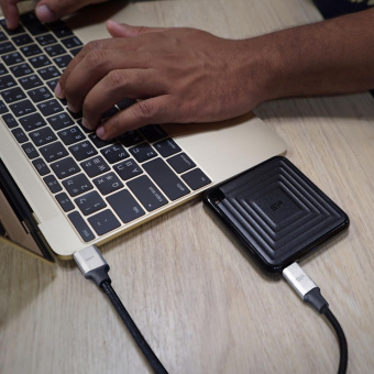 Накопитель SSD Silicon Power USB-C 2TB SP020TBPSDPC60CK PC60 1.8" черный от магазина РЭССИ