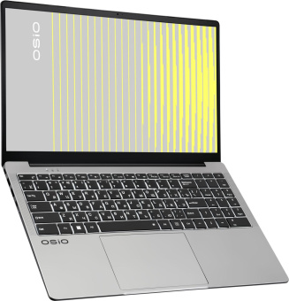 Ноутбук Osio FocusLine F150i-002 Core i3 1125G4 16Gb SSD256Gb Intel UHD Graphics 15.6" IPS FHD (1920x1080) Windows 11 Home grey WiFi BT Cam 6000mAh от магазина РЭССИ