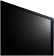 Панель LG 65" 65UL3J-E черный IPS LED 16:9 HDMI M/M матовая 400cd 178гр/178гр 3840x2160 UHD USB 21.5кг от магазина РЭССИ