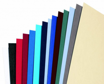 Обложки для переплёта GBC A4 250г/м2 слоновая кость (100шт) LeatherGrain (CE040065) от магазина РЭССИ