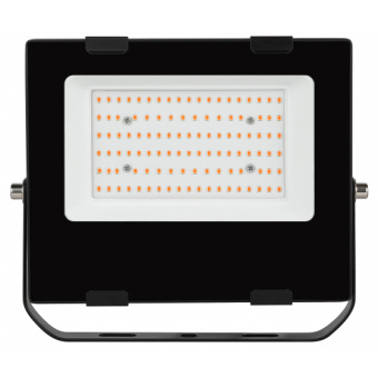 Прожектор красно-синего спектра FITO-50W-RB-LED от магазина РЭССИ