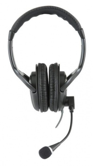 Наушники с микрофоном Sven AP-670MV черный 2.5м мониторные оголовье (SV-0410670MV) от магазина РЭССИ