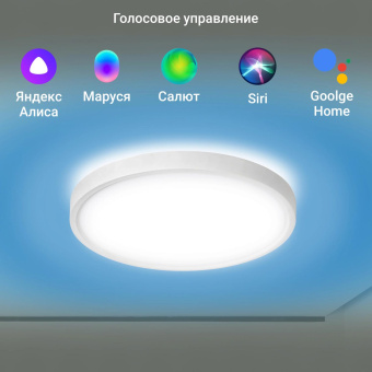 Умный светильник Digma TopLight TL40 потолоч. белый (TL40) от магазина РЭССИ