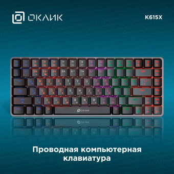 Клавиатура Оклик K615X механическая черный/серебристый USB Multimedia for gamer LED (1934413) от магазина РЭССИ
