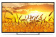 Телевизор LED PolarLine 40" 40PL11TC-SM черный FULL HD 50Hz DVB-T DVB-T2 DVB-C USB WiFi Smart TV (RUS) от магазина РЭССИ