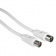 Кабель антенный Hama H-11905 Coax (m)/Coax (f) 3м. белый (00011905) от магазина РЭССИ
