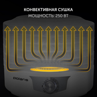 Сушка для фруктов и овощей Polaris PFD 2805 5под. 250Вт белый от магазина РЭССИ