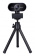 Камера Web A4Tech PK-930HA черный 2Mpix (1920x1080) USB2.0 с микрофоном от магазина РЭССИ