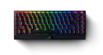 Клавиатура Razer BlackWidow V3 Mini HyperSpeed механическая черный USB беспроводная BT/Radio for gamer LED от магазина РЭССИ