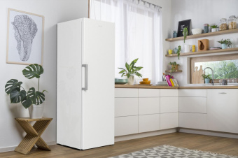 Морозильная камера Gorenje FN619FEW5 белый от магазина РЭССИ
