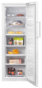 Морозильная камера Beko RFSK266T01W белый от магазина РЭССИ