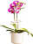 Светильник фито Cactus GARDEN светод. 7.5Вт цв.св.:белый (CS-LED-ORCHID) от магазина РЭССИ
