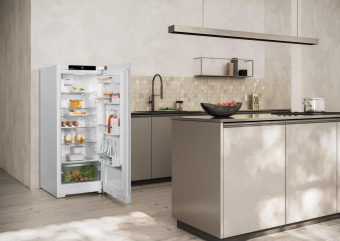 Холодильник Liebherr Plus Rf 4600 белый (однокамерный) от магазина РЭССИ