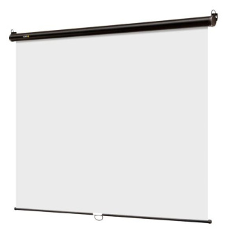 Экран 180x180см Digis Optimal-C DSOC-1102 1:1 настенно-потолочный рулонный от магазина РЭССИ