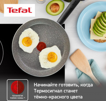 Сковорода Tefal Natural Cook 04211924 круглая 24см ручка несъемная (с крышкой) серый (9100046100) от магазина РЭССИ