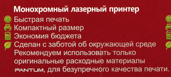 Принтер лазерный Pantum P2500 A4 черный от магазина РЭССИ