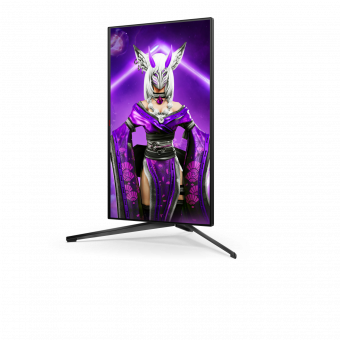 Монитор AOC 24.5" Gaming AG254FG черный IPS LED 16:9 HDMI M/M матовая HAS Piv 400cd 178гр/178гр 1920x1080 360Hz G-Sync DP FHD USB 6.36кг от магазина РЭССИ