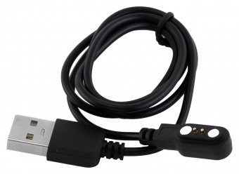 Смарт-часы Digma Smartline E4 1.69" IPS корп.черный рем.черный (E4B) от магазина РЭССИ