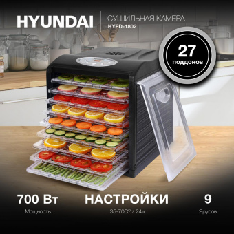 Сушка для фруктов и овощей Hyundai HYFD-1802 27под. 700Вт черный от магазина РЭССИ