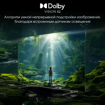 Телевизор OLED Digma Pro 65" OLED 65M Google TV Frameless черный/серебристый 4K Ultra HD 120Hz DVB-T DVB-T2 DVB-C DVB-S DVB-S2 USB WiFi Smart TV от магазина РЭССИ