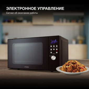 Микроволновая Печь Hyundai HYM-D3033 20л. 700Вт черный от магазина РЭССИ
