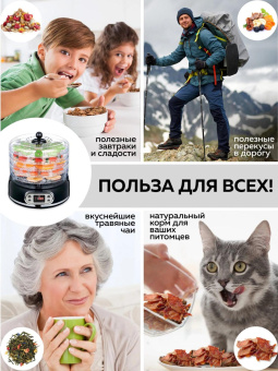 Сушка для фруктов и овощей GFGril GFD-002 6под. 500Вт черный от магазина РЭССИ