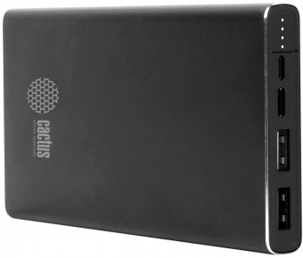 Мобильный аккумулятор Cactus CS-PBFSJT-10000 10000mAh 2.1A 2xUSB черный от магазина РЭССИ