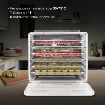 Сушка для фруктов и овощей Hyundai HYFD-8800 12под. 600Вт черный от магазина РЭССИ