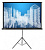 Экран Cactus 104.4x186см Triscreen CS-PST-104x186 16:9 напольный рулонный черный от магазина РЭССИ