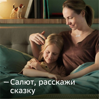 Смарт-дисплей Sber SberPortal Салют черный 30W 1.0 BT (SBDV-00010) от магазина РЭССИ