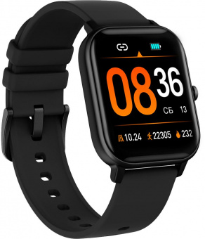 Смарт-часы SunWind SW30 1.54" корп.черный рем.черный (SW30B) от магазина РЭССИ