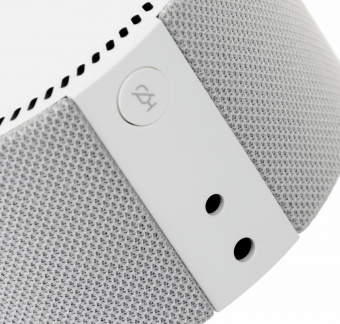 Умная колонка Yandex Станция Мини без часов Алиса серый 10W 1.0 BT 10м (YNDX-00021G) от магазина РЭССИ