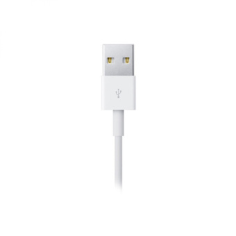 Кабель Apple A1510 MD819ZM/A USB (m)-Lightning (m) 2м белый от магазина РЭССИ