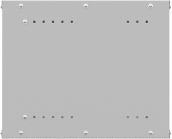 Шкаф коммутационный NTSS Lime (NTSS-WL9U5560GS) настенный 9U 550x600мм пер.дв.стекл несъемн.бок.пан. 30кг серый 110град. IP20 сталь от магазина РЭССИ