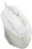 Мышь A4Tech Fstyler FM45S Air бежевый оптическая (2400dpi) silent USB (7but) от магазина РЭССИ