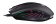 Картинка Мышь A4Tech Bloody Q82 черный/рисунок оптическая (6200dpi) USB3.0 (8but) от магазина РЭССИ Мышь A4Tech Bloody Q82 черный/рисунок оптическая (6200dpi) USB3.0 (8but) от магазина РЭССИ