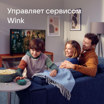 Умная колонка VK Капсула Мини Маруся зел.хвойный 5W 1.0 BT 10м (MRC02SG) от магазина РЭССИ