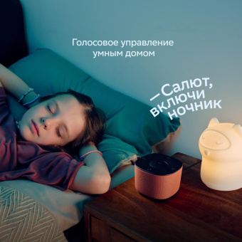 Умная колонка Sber Boom Home SBDV-00171G Салют серый 8W Mono BT/Wi-Fi (без.бат) от магазина РЭССИ