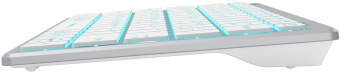 Клавиатура A4Tech Fstyler FX61 белый USB slim LED (FX61 WHITE) от магазина РЭССИ