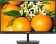 Монитор Philips 23.6" 241E1SCA(00/01) черный VA LED 16:9 HDMI M/M матовая 3000:1 250cd 178гр/178гр 1920x1080 VGA FHD 3.54кг от магазина РЭССИ