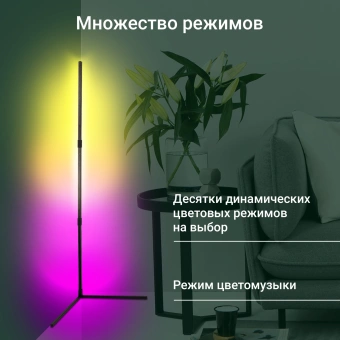 Умный светильник Digma FloorLight FL11 напол. черный (FL11) от магазина РЭССИ