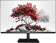 Монитор RDW Computers 27" RDW2701K черный IPS 5ms 16:9 HDMI 1000:1 300cd 178гр/178гр 1920x1080 100Hz VGA DP FHD (RUS) от магазина РЭССИ