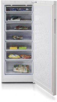 Морозильная камера Бирюса Б-6046 белый от магазина РЭССИ